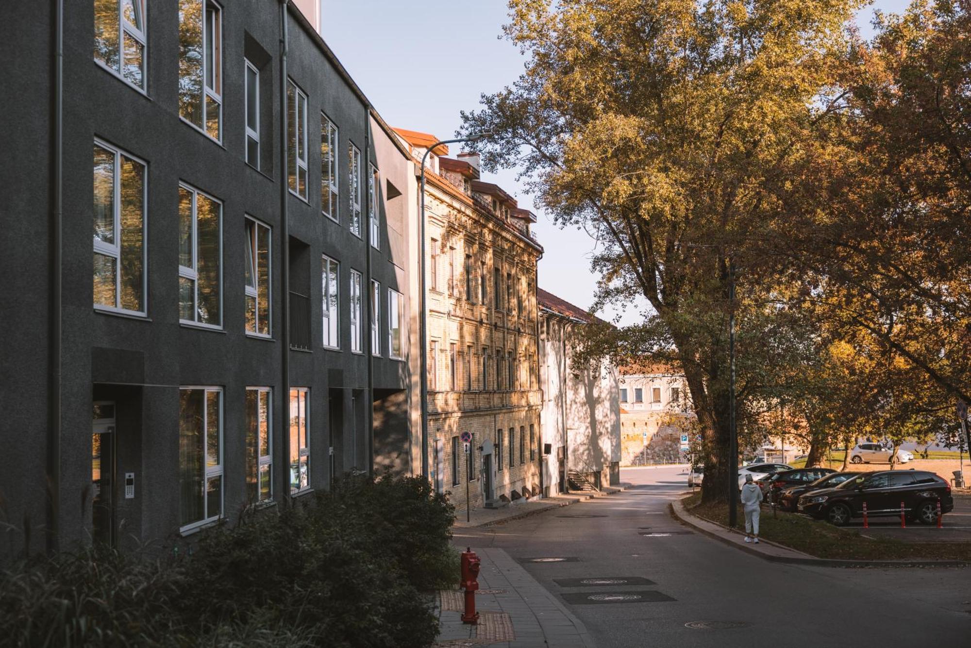 Ivis House - Stylish And Original Apartment In Vilnius Old Town Exteriér fotografie